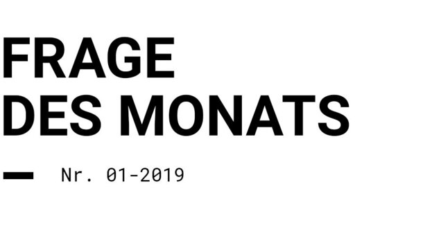 DIALux Frage des Monats Januar 2019